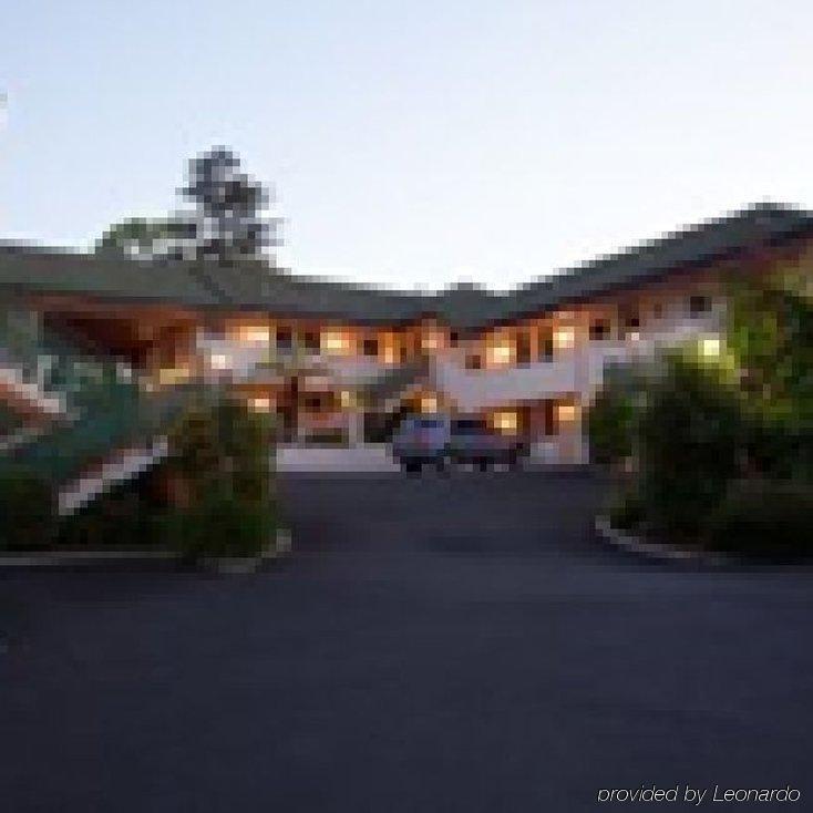 Ashwood Manor Motor Lodge Hamilton Eksteriør billede